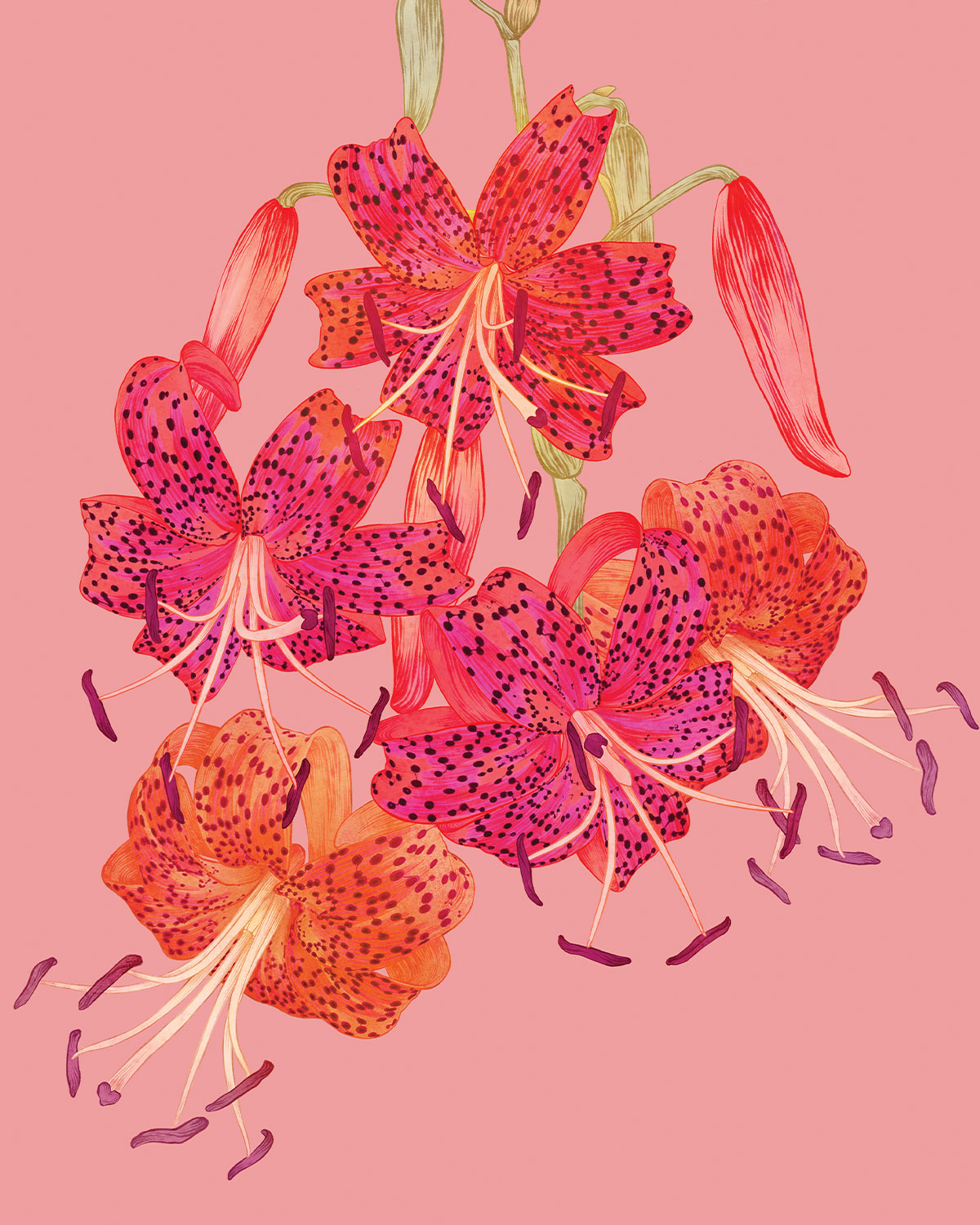 petal book extract web image